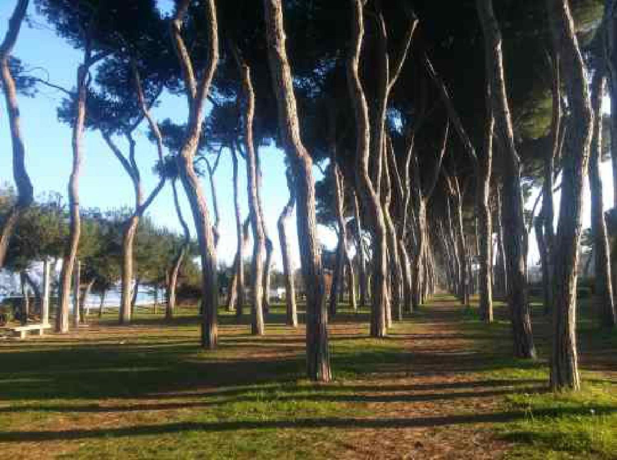 Appartement Casa Klimt Vicinissima Al Mare Parcheggio Privato Gratuito Se Disponibile à Pescara Extérieur photo